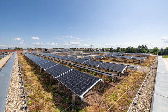 De fotovoltaïsche modules op het groene dak dragen bij aan de milieuvriendelijke energievoorziening van het schoolcentrum.